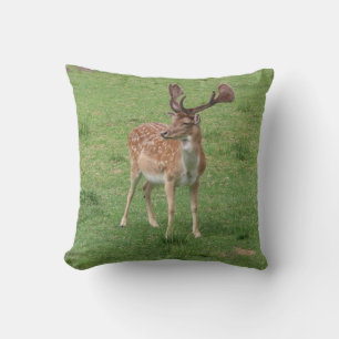 Tiere, Hirsche, wild lebende Tiere, Wald, Wiese, J Kissen