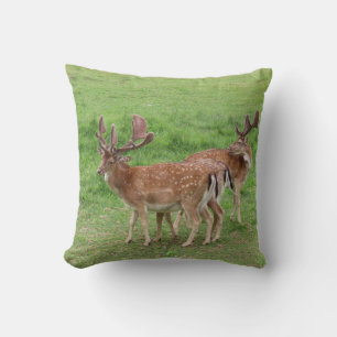 Tiere, Hirsche, wild lebende Tiere, Wald, Wiese, J Kissen