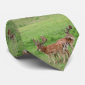 Tiere, Hirsche, wild lebende Tiere, Wald, Wiese, J Krawatte (Gerollt)