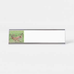 Tiere, Hirsche, wild lebende Tiere, Wald, Wiese, J Schreibtischnamensplakette