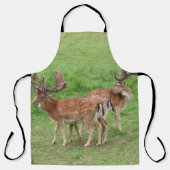 Tiere, Hirsche, wild lebende Tiere, Wald, Wiese, J Schürze (Vorderseite)