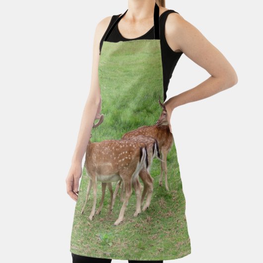 Tiere, Hirsche, wild lebende Tiere, Wald, Wiese, J Schürze (InSitu)