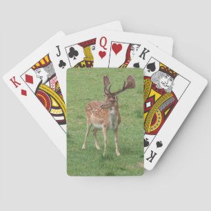 Tiere, Hirsche, wild lebende Tiere, Wald, Wiese, J Spielkarten