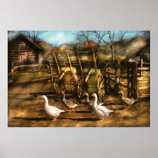 Tiere - I Liebe Poster