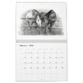 TIERE IM BLEISTIFT: REALISMUS-ZEICHNUNGS-KALENDER KALENDER (Feb 2026)