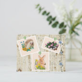 Tiere im Busch Postkarte (Stehend Vorderseite)