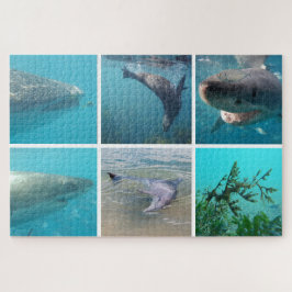 Tiere im Unterwasserleben, 1014 Stück Puzzle
