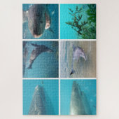 Tiere im Unterwasserleben, 1014 Stück Puzzle (Vertikal)