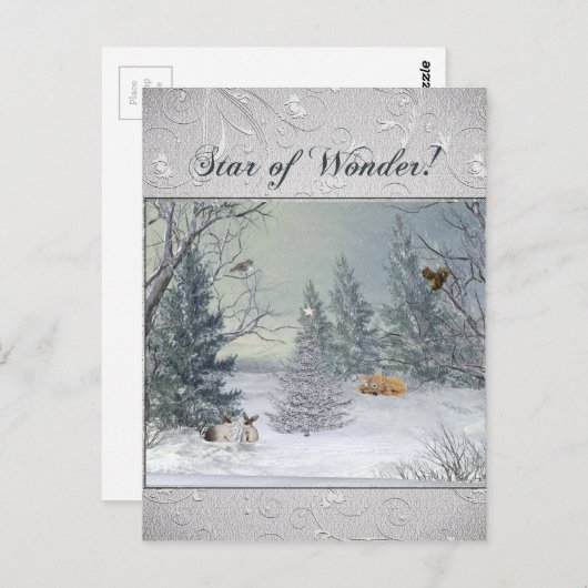 Tiere im Winterwald, Tree mit Stern, Star Postkarte (Vorne/Hinten)