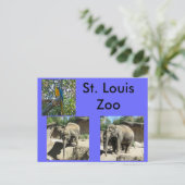 Tiere im Zoo Postkarte (Stehend Vorderseite)