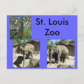 Tiere im Zoo Postkarte (Vorderseite)