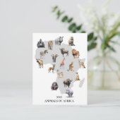 Tiere in Afrika Safari Wildlife Postkarte (Stehend Vorderseite)