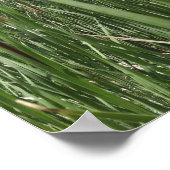 Tiere in den Feuchtgebieten, beleuchtet durch Sonn Poster (Ecke)