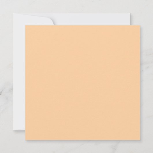 Tiere in einem Baloon (Rückseite)