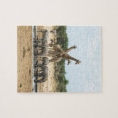 Tiere in einem Waterhole Puzzle (Horizontal)