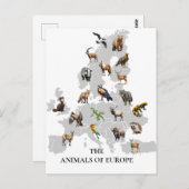 Tiere in Europa Postkarte (Vorne/Hinten)