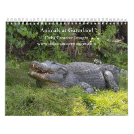 Tiere in Gatorland 2026 Kalender
