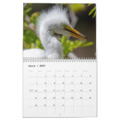 Tiere in Gatorland 2026 Kalender (Mär 2027)