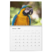 Tiere in Gatorland 2026 Kalender (Jan 2027)