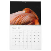 Tiere in Gatorland 2026 Kalender (Feb 2027)