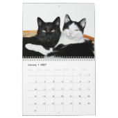 Tiere in Kalender 2015 der Liebe-| (Jan 2027)