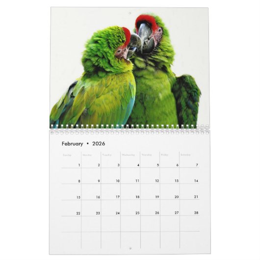 Tiere in Kalender 2015 der Liebe-| (Feb 2026)