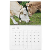 Tiere in Kalender 2015 der Liebe-| (Mär 2026)