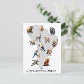 Tiere in Südamerika Postkarte (Stehend Vorderseite)