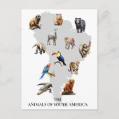 Tiere in Südamerika Postkarte (Vorderseite)