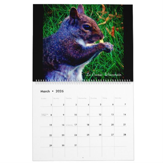 Tiere Kalender (Mär 2026)
