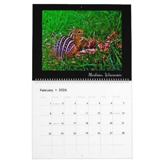 Tiere Kalender (Feb 2026)