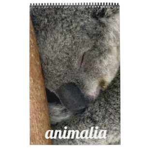 Tiere Kalender