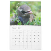 Tiere Kalender (Feb 2027)