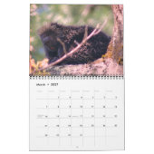 Tiere Kalender (Mär 2027)
