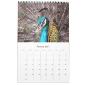 Tiere Kalender (Jan 2027)