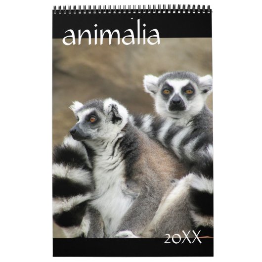 Tiere Kalender (Titelbild)