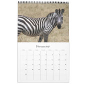 Tiere Kalender (Feb 2027)