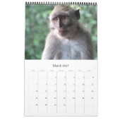 Tiere Kalender (Mär 2027)