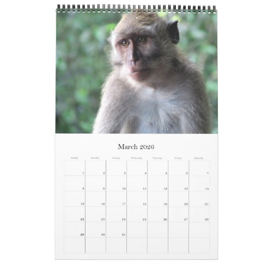 Tiere Kalender (Mär 2026)