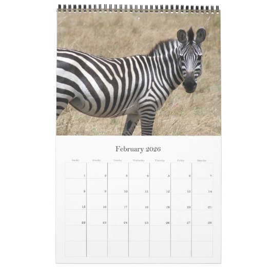Tiere Kalender (Feb 2026)