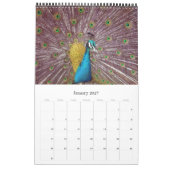 Tiere Kalender (Jan 2027)