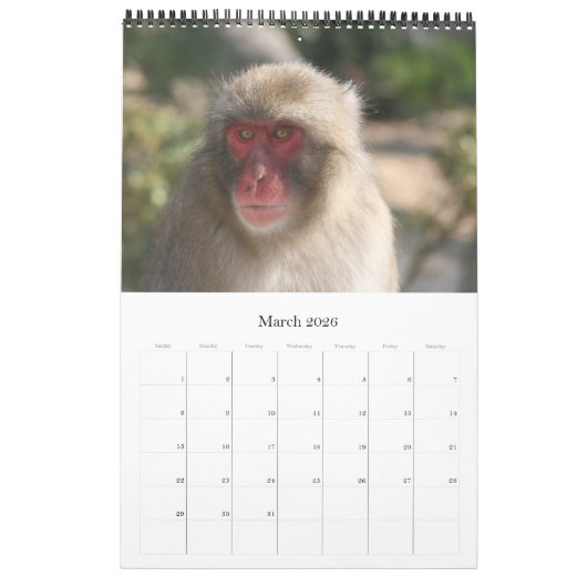 Tiere Kalender (Mär 2026)