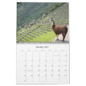 Tiere - Kalender 2011 (Jan 2027)