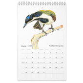 Tiere! Kalender 2025 (Mär 2027)