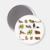 Tiere Magnet (Vorderseite/Rückseite)