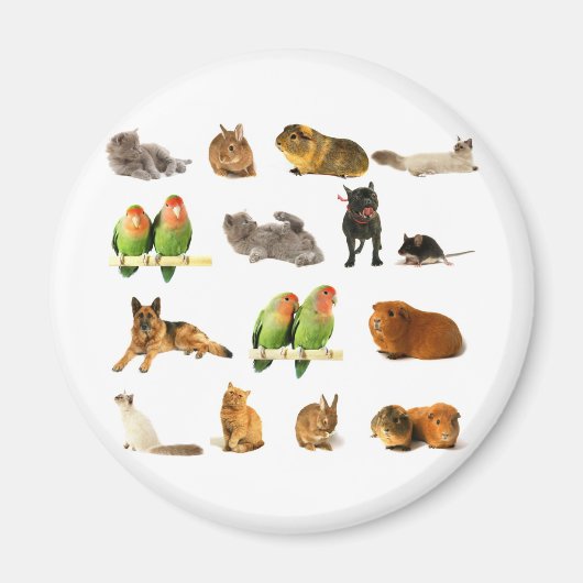 Tiere Magnet (Vorne)