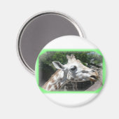 Tiere Magnet (Vorderseite/Rückseite)