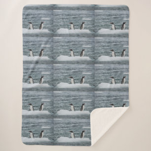 Tiere Marine Animal Dive Cosy Destiny's Sherpadecke