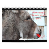 Tiere mit Haltung Kalender (Titelbild)