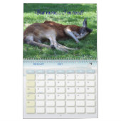 Tiere mit Haltung Kalender (Feb 2027)